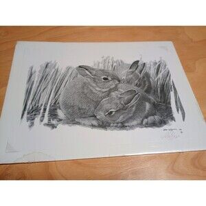 John Lofgreen Signed Wildlife Art Print Bunnies – Black & White 1998